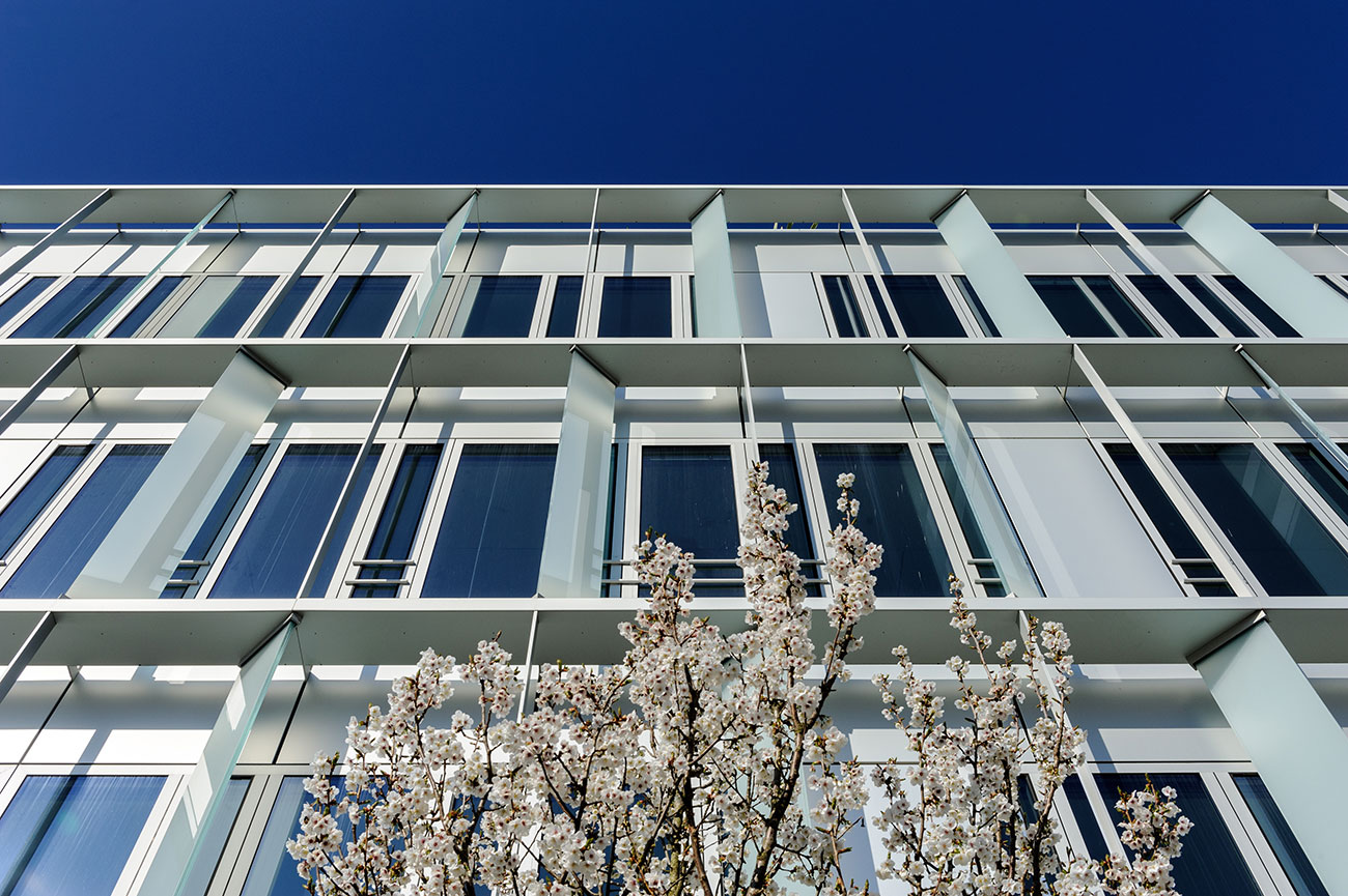 vue-facade-arbre-en-fleurs-immeuble-bureaux-nature